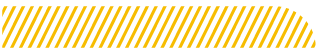 Yellow Striped Border
